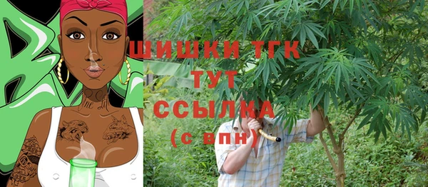 крисы Баксан