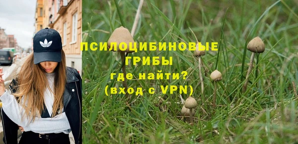 крисы Баксан