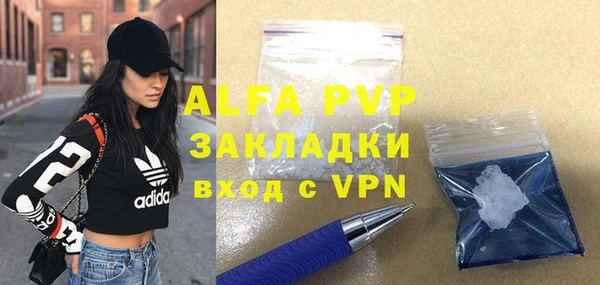 крисы Баксан