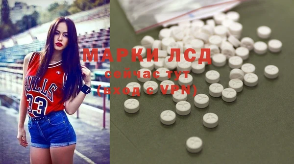 крисы Баксан