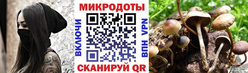 наркошоп Белебей Галлюциногенные грибы GOLDEN TEACHER