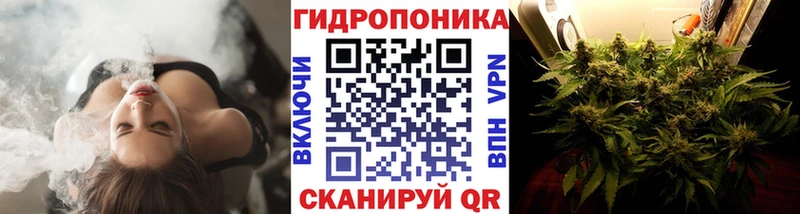 Бошки Шишки Amnesia  купить наркотики цена  kraken ONION  Белебей 